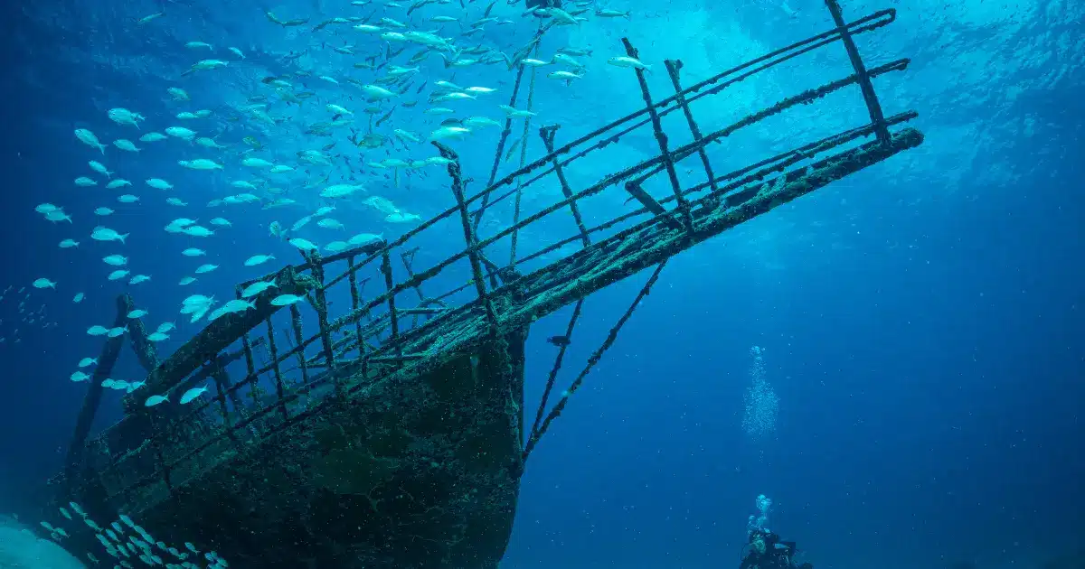"Dive Deep into SXM Adventure | Ocean Excitement"