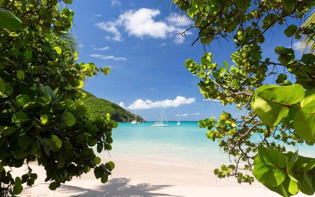 Scenic beach in St. Martin with turquoise waters, white sand, and palm trees offering relaxing island views and family-friendly seaside experiences.