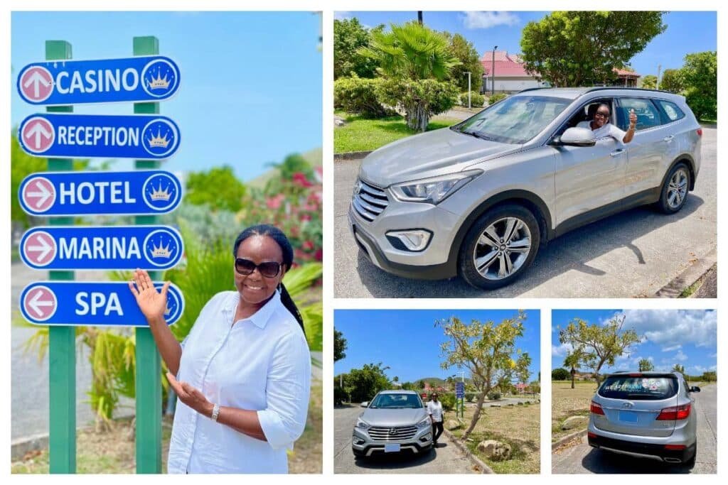 Joyce-Hanley-Private-Chauffeur-Driver-Hyundai-Santa-Fe-Personal-Services-Luggage-Storage-I