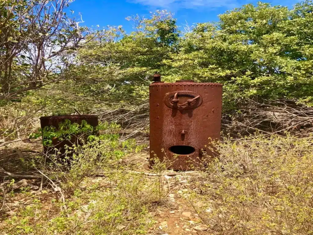 Historic Ruins Exploration Tintamarre Island