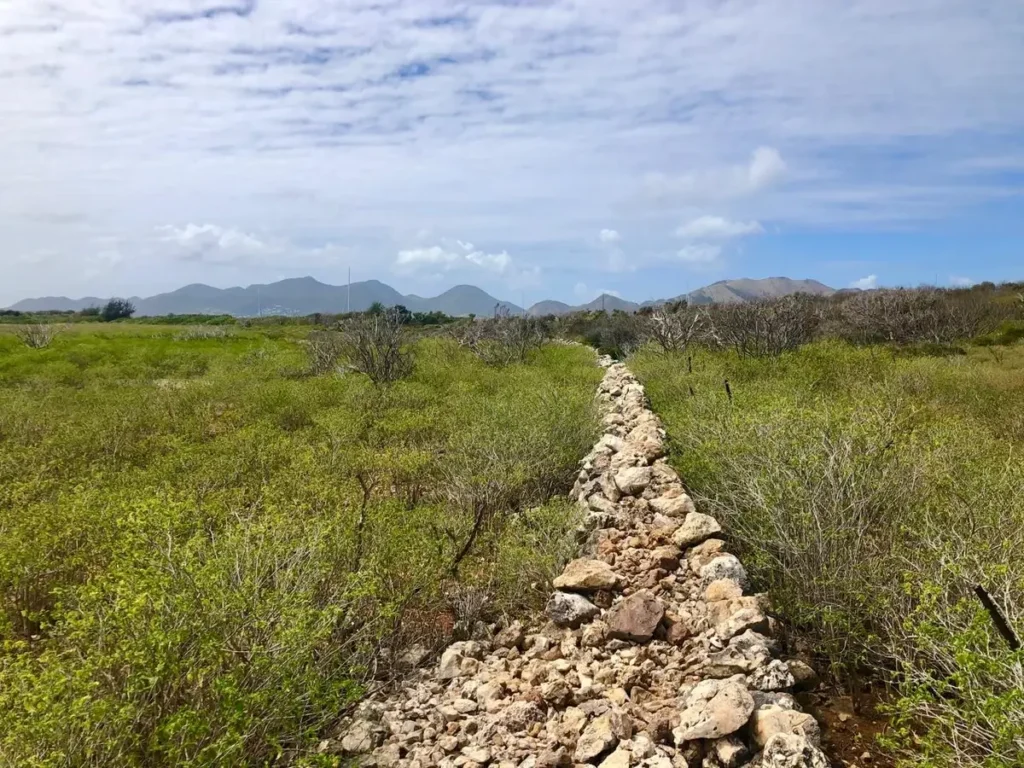 Historic Stone Trail Hiking At Tintamarre Island