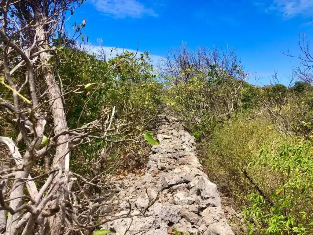 What Is the Best Private Boat Charter to Tintamarre From St. Martin Right Now for Turtle Sightings, Snorkeling, Luxury Day Trips, Family Adventures, Gourmet Cruises, and Private Yacht Experiences